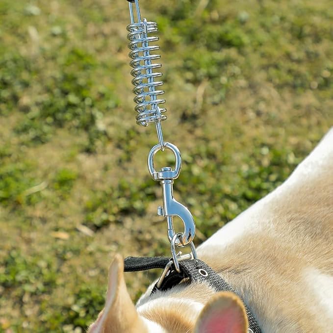 Tie Out Cable for Dog,60FT Dog Leads with Swivel Hook and Shock Spring,Heavy Duty Tie Out Cable for Large Dogs Up to 125lbs,Durable Dogs Runner Tether Line for Outdoor,Yard