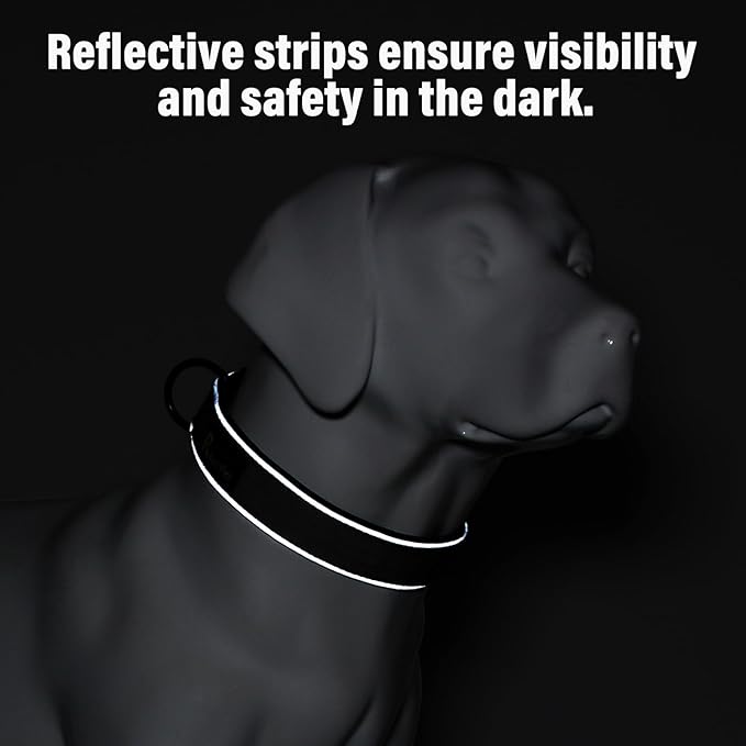 Plutus Pet Tactical Dog Collar, Reflective, Adjustable Heavy Duty Dog Collar, Soft Padded and Comfortable, for Small Medium and Large Dogs (Orange, S)
