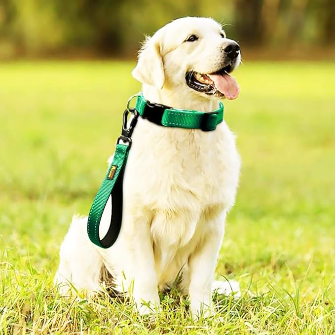 PLUTUS PET 10” Short Dog Leash, Reflective Nylon Padded Handle, Strong Traffic Leash with Carabiner Clip, Perfect for Large or Medium Dogs（10”，Green