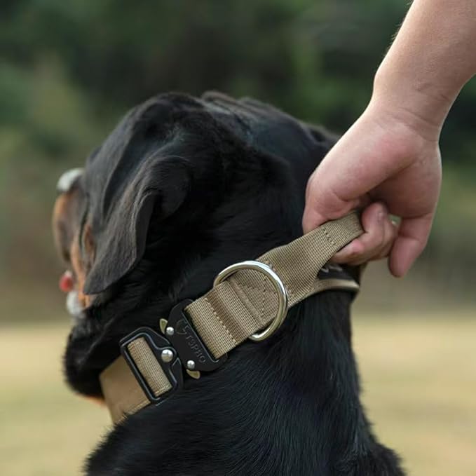 TSPRO Premium Dog Collars Tactical Dog Collar with Handle and Heavy Duty Quick-Release Metal Buckle Durable Thick and Adjustable for Medium to Large Dogs (Cyan Gradient L)