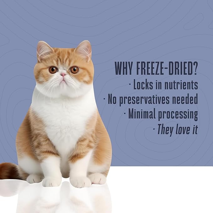 Whole Life Pet Just One Turkey - Cat Treat Or Topper - Human Grade, Freeze Dried, One Ingredient - Protein Rich, Grain Free, Made in The USA (Pack of 6)