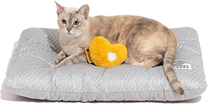 FUNNY FUZZY 2 in 1 Dog Bed Crate Pad Mat, Washable Reversible Floor Pet Mats,Fluffy Kennel Pad for Small Large Sized Dog,Indoor Cats,Sleeping Mattress, 23.6" × 17.9", Light Grey