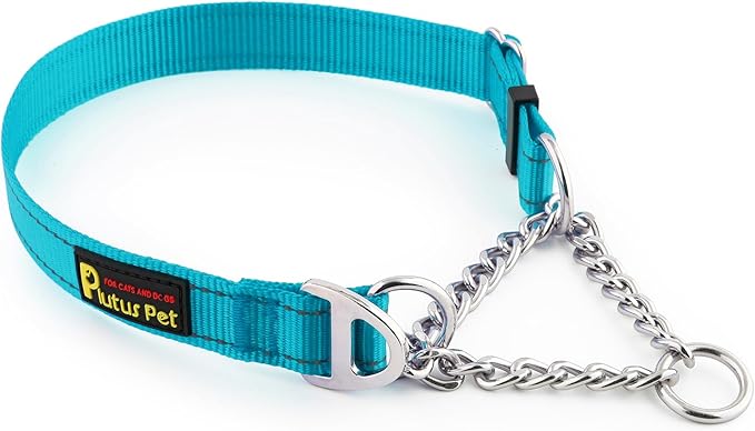 Plutus Pet Martingale Dog Collar with Stainless Steel Chain and Reflective Nylon, Adjustable No Pull Training Collar, for Small Medium, and Large Dogs, Cyan, M