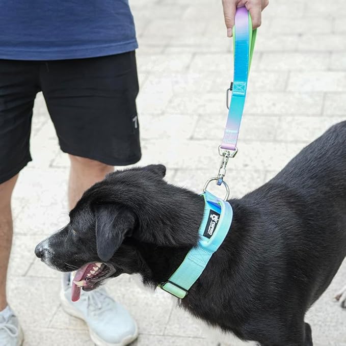 TSPRO Dog Training Leash with Sturdy Metal Buckle, 14 Inches Short Leash for Large Dogs, Comfortable Padded Handle (Blue - Pink Gradient)