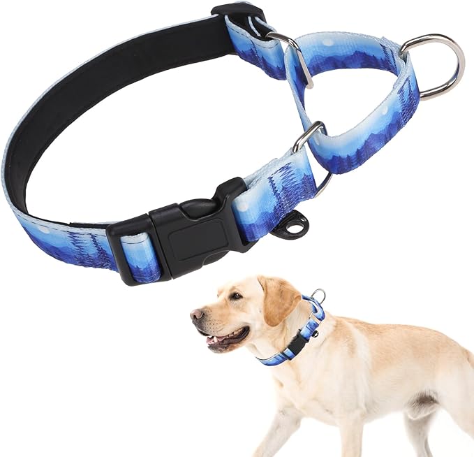 KOOLTAIL Martingale Collar for Dogs,Soft Padded Nylon Heavy Duty Dog Collar for Small Medium Large Dogs,Adjustable No Pull Durable Wide Puppy Training Collar With Pattern Design for Boys Girls, Blue L
