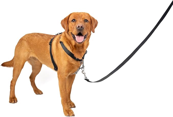 PetSafe 3 in 1 Dog Harness - No Pull Solution for Dogs - Reflective Dog Harness - Front D-Ring Clip Helps Stop Pulling - Comfortable Padded Straps - Top Handle Enhances Control - Black - Large