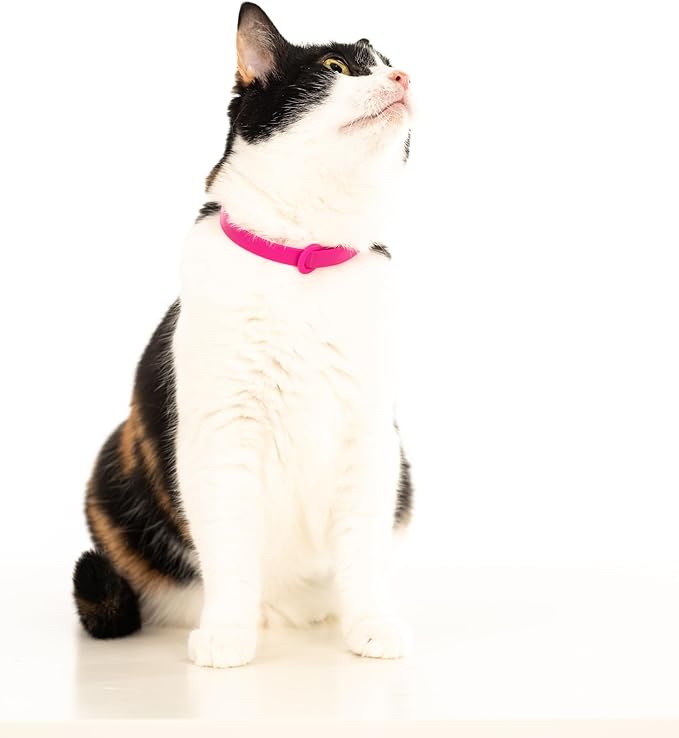 Cat Collar 2 Pack - Soft, Comfortable, and Lightweight Safety Breakaway Collar with Name Tag Ring for Outdoor Cats and Sensitive Skin Kittens by Nuvuq (6 ⅞" to 10 ¼", Pink)
