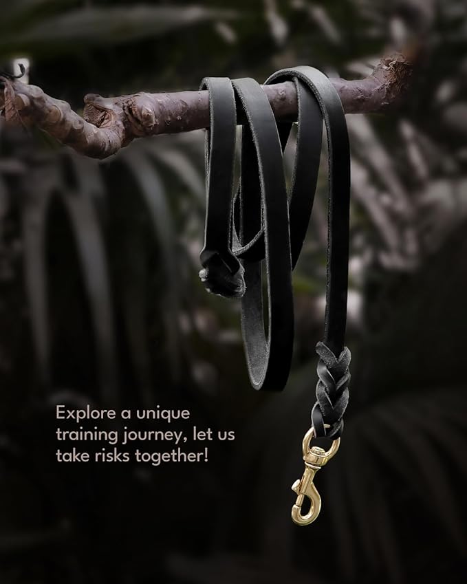 FAIRWIN Leather Dog Leash 6 Foot - Braided Military Grade Heavy Duty Dog Leash for Large Medium Small Dogs Training and Walking (Black, XL:1" x 6ft)