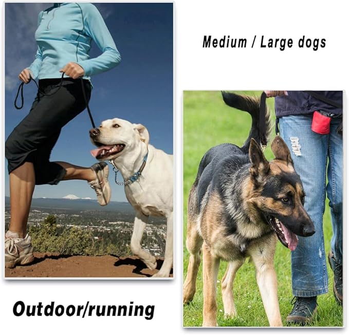 Leather Dog Leash 6ft x 1 inch, Heavy Duty Dog Training Leashes, Soft, Strong and Comfortable Braided Leather Leash for Large, Medium Dogs Black