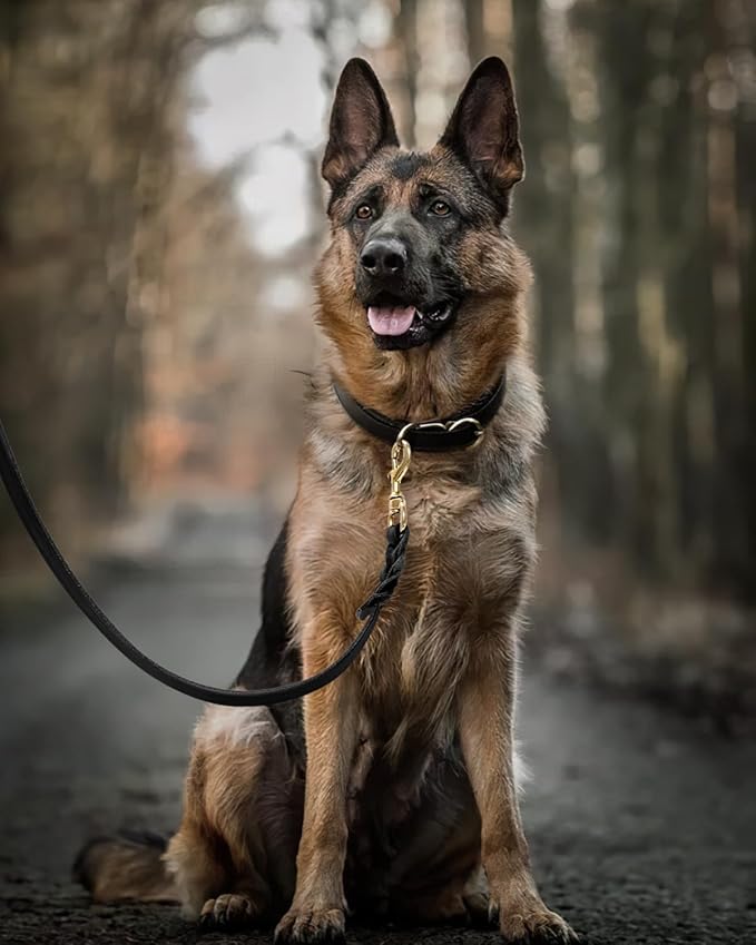 FAIRWIN Leather Dog Leash 6 Foot - Braided Military Grade Heavy Duty Dog Leash for Large Medium Small Dogs Training and Walking (Black, M:5/8" x 6ft)