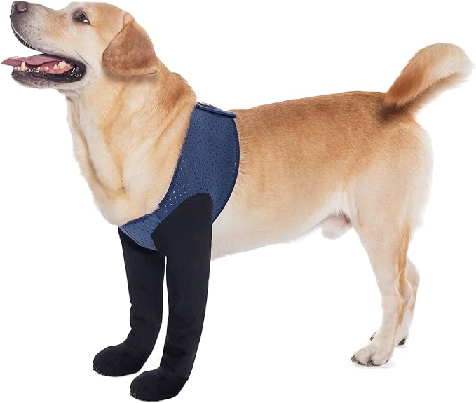 COODEO Dog Socks to Prevent Licking Paws, Dog Healing Bootss & Paw Protectors with Non-Slip Bottoms to Protect Wounds, Waterproof Sleeve Dog Shoes for Licking (Blue, L)