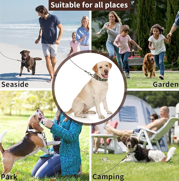 Dog tie Out Cable, 10/20/25/30/50/70/100 feet, Suitable for Dogs up to 350 pounds, Dog Cable with Swivel Buckle, Lightweight, Non-Winding, for Outdoor Camping, Yard Dog Cable (Black, 10FT)