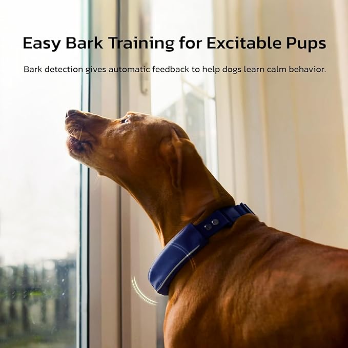 SATELLAI Dog Wireless Fences, Red The Most Advanced GPS Dog Collar with AI Analysis, Precise Positioning, 5-Day Battery, and IP68 Waterproof, Flexible Virtual Fencing for Medium & Large Dogs