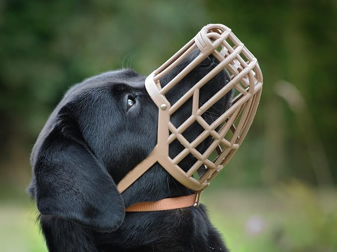 Leather Brothers Italian Basket Dog Muzzle, Adjustable Secure Fit, Comfortable Design, Training and Safety, Averts Biting, Prevents Chewing and Scavenging, Perfect for Grooming - Tan, Size 1