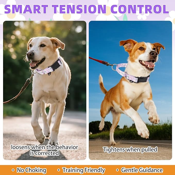 KOOLTAIL Martingale Collar for Dogs,Soft Padded Nylon Heavy Duty Dog Collar for Small Medium Large Dogs,Adjustable No Pull Durable Wide Puppy Training Collar With Pattern Design for Boy Girl, Purple M