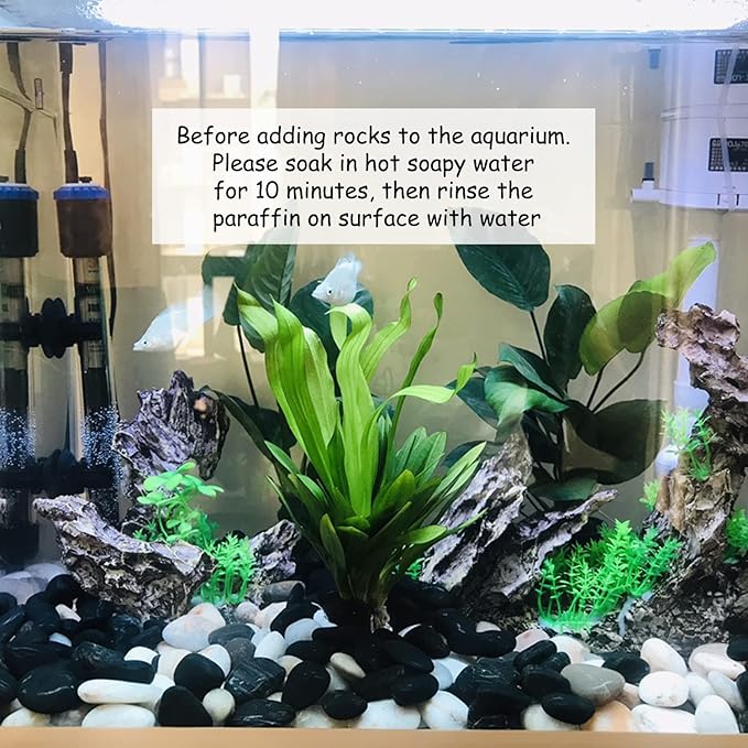 10 lb Small Pebbles for Plants, Polished Black Stones. Decorative River Rocks for Outdoor Landscaping, Vase, Aquarium and Garden