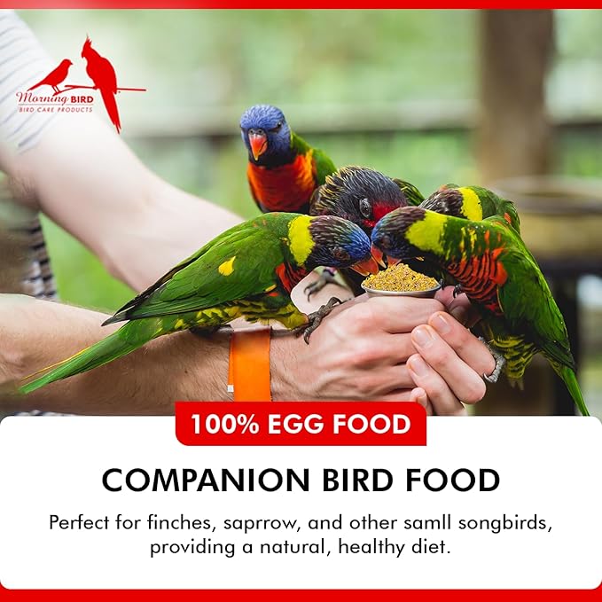 Morning Bird Eggfood 6 lbs (4-Pack, 1.5 lbs Each) – Protein Food with Essential Amino Acids, Vitamins & Minerals – Supports Growth & Feather Health – Ideal Bird Seed for Breeding and All Bird Types