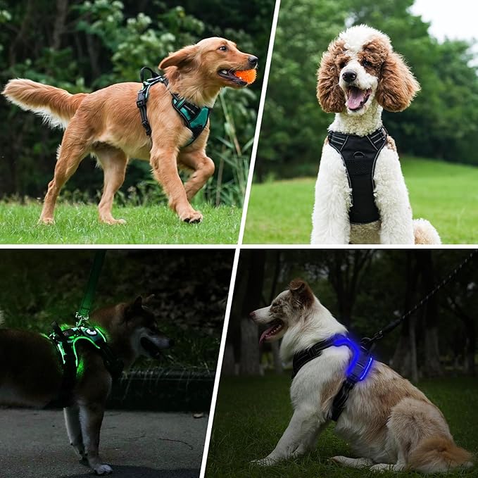 Taglory Light Up Dog Harness, Rechargeable No Pull Dog Vest with 3 Lightning Modes, Reflective Dog Harness with 2 Leash Clips & 4 Adjustable Slide Strips for Small Dogs, Turquoise-Green, S