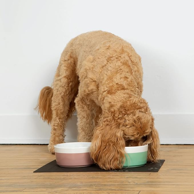 Waggo Dipper Ceramic Dog Bowl for Small and Large Breeds - Heavyweight and Durable Pet Food and Water Dish Crock, Dishwasher Safe, Modern (Mint, Medium)