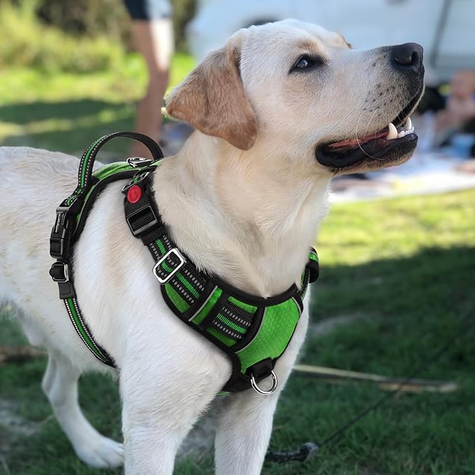 rabbitgoo Dog Harness for Large Dogs, No Pull Pet Vest with 3 Buckles, Adjustable Soft Padded Pet Harness with Easy Control Handle and Reflective Strips, Green, L