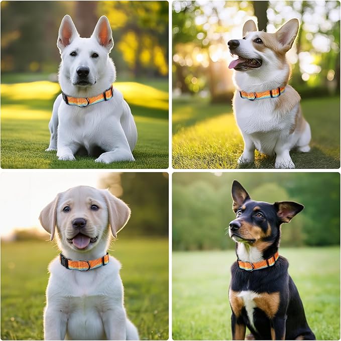 HEELE Dog Collar, Adjustable Soft Dog Collar for Small Medium Large Dogs,Bohemia Patterned Puppy Collars with Quick Release Buckle XS Length 8.5''-11''