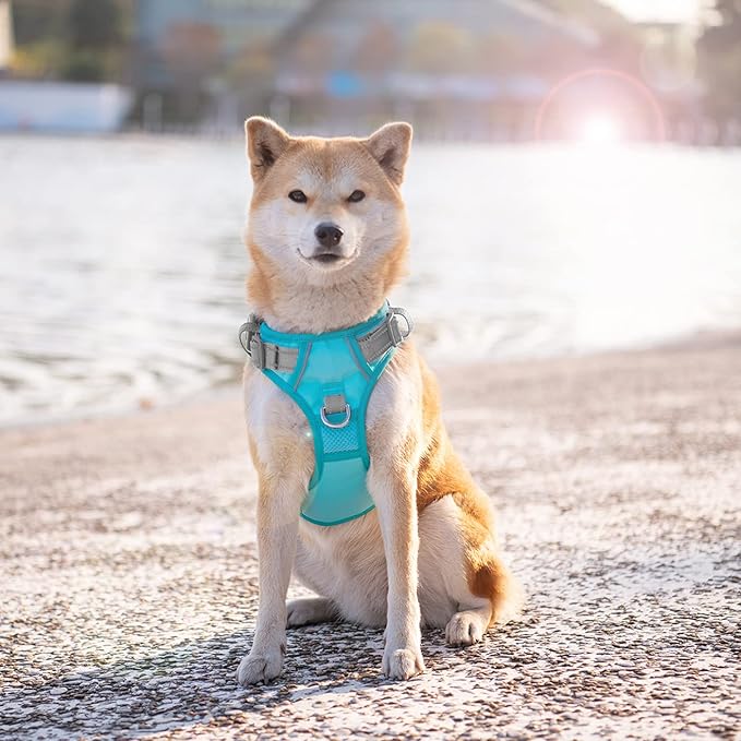 PHOEPET No Pull Dog Harness, Unique Colors Reflective Adjustable Dog Vest, with Soft Training Handle Metal Clips for Small Medium Large Dogs (Mint Green Base & Grey Straps,XL)