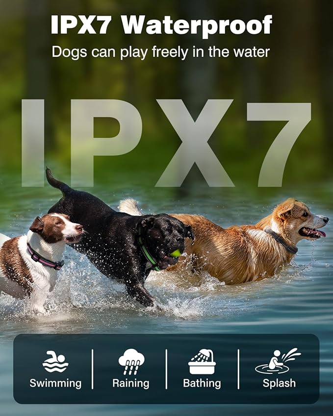 Dog Shock Collar 2 Pack (5-150Lbs) - 3300FT Rechargeable 2 Dog Training Collar with Remote Control IPX7 Waterproof Electric Collar with Fashlight, 4 Training Modes E-Collar for Small Medium large Dogs