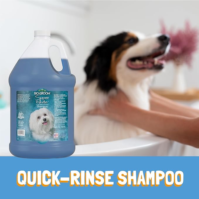 Bio-Groom Super Whitening Dog Shampoo – Whitening Pet Shampoo, Dog Bathing Supplies, Puppy Wash, Dog Grooming Supplies, Cruelty-Free – 12 fl oz 1-Pack
