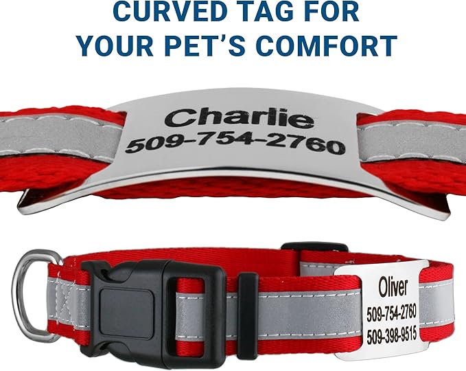 GoTags Reflective Personalized Dog Collar with Nameplate, Adjustable Dog Collar with Custom Engraved Steel Slide On Pet ID Tag, Silent, No Noise Dog Tag for Large Medium or Small (Red, Small)