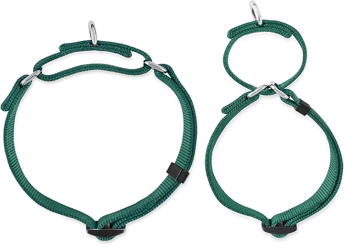 Hyhug Anti - Slip Out Strong Martingale Collar for Large Boy and Girl Dogs Comfy and Safe - Daily Use Walking and Professional Training.(Large,Solid Color Dark Green)