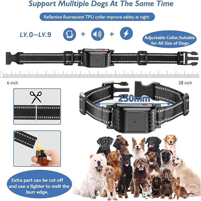 Dog Wireless Fence & Remote Shock Dog Training Collar 2-in-1, Electric Dog Fence, Adjustable Warning Strength & Range Sizes, Rechargeable Pet Boundary Containment System for 1/2/3/4 Dogs,for3dogs