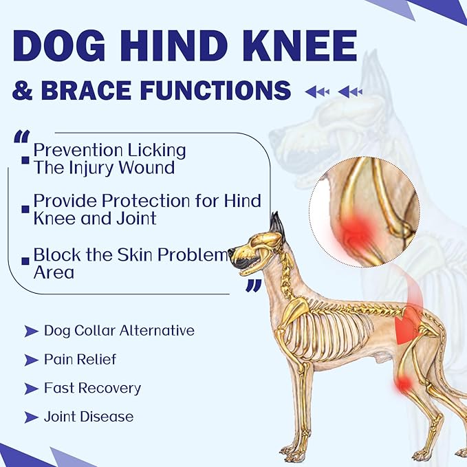 ROZKITCH Dog Surgery Leg Sleeve Rear Legs, Male Female Pet Prevent Licking Wound Elbow Knee Protector, Dog Recovery Suit Cone Collar Alternative Pants Shirt for Wound Heal Wrap Pink XL