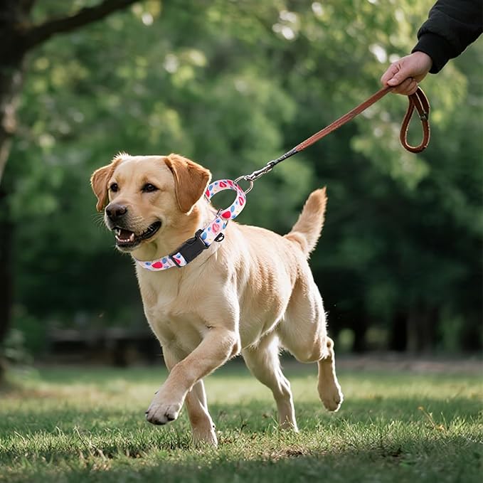 KOOLTAIL Martingale Collar for Dogs,Soft Padded Nylon Heavy Duty Dog Collar for Small Medium Large Dogs,Adjustable No Pull Durable Wide Puppy Training Collar With Pattern Design for Boys Girls, Pink S