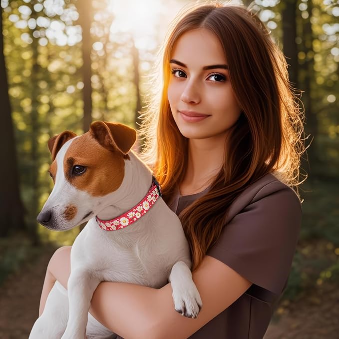 HEELE Dog Collar, Adjustable Soft Dog Collar for Small Medium Large Dogs,Daisy Floral Patterned Puppy Collars with Quick Release Buckle Daisy Red M Length 13.39''-20.87''