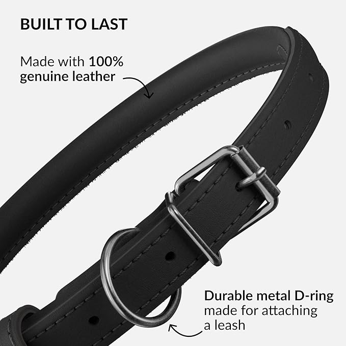 CollarDirect Rolled Leather Dog Collar, Soft Padded Round Puppy Collar, Handmade Genuine Leather Collar Dog Small Large Cat Collars 13 Colors (11-14 Inch, Black Smooth)