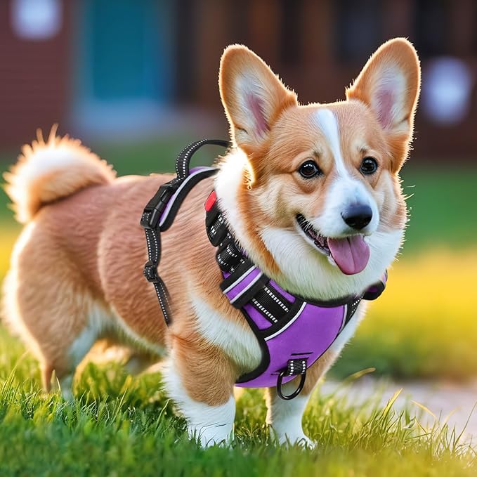 Timos Dog Harness Small Sized, No Pull with Neck Lockable Snap,No Choke Front Clip Dog Reflective Harness,Adjustable Metal Rings 3 Buckles,Easy Control Handle for Small Dogs Purple S