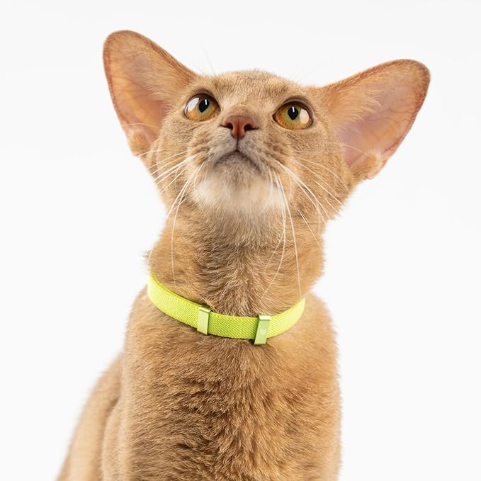 Safety Cat Collar - U.S. IDA Gold Awarding Design, Stretch Elastic Quick Release, Non Breakaway - Light Weight for Kitten, Neck Fit 5.9'-11.8' for All Small Large Cat,S(Linen)