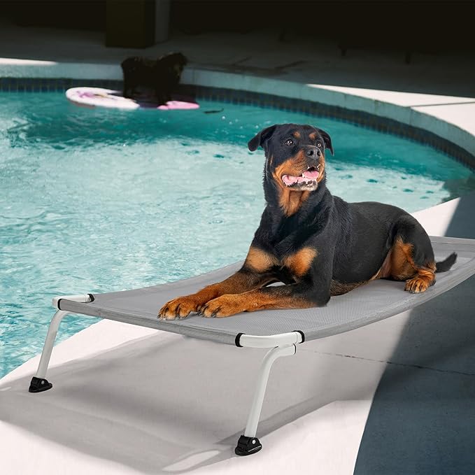 Veehoo Elevated Dog Bed for Outdoor, Cooling Waterproof Raised Dog Cots Beds XL, Curved Off Ground Pet Hammock Cot Lifted for Outside, up to 150lbs, White Legs, Grey 49"