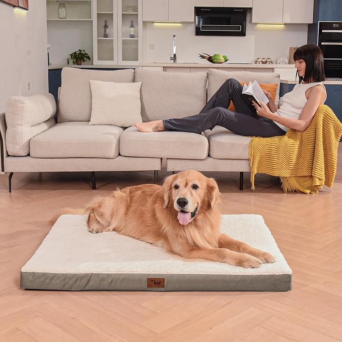Medium Dog Bed for Medium/Small Dogs, Orthopedic Dog Beds with Removable Washable Waterproof Cover, Egg Crate Foam Pet Bed Mat, Khaki White