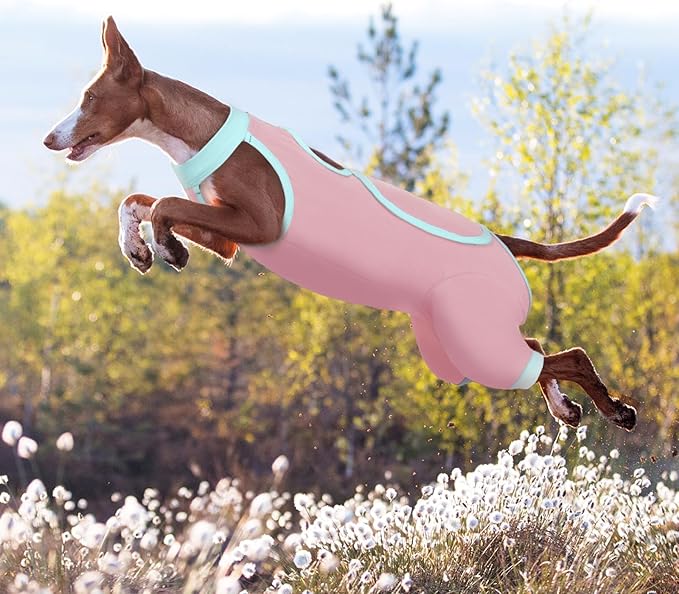 ROZKITCH Dog Surgery Leg Sleeve Rear Legs, Male Female Pet Prevent Licking Wound Elbow Knee Protector, Dog Recovery Suit Cone Collar Alternative Pants Shirt for Wound Heal Wrap Pink 2XL