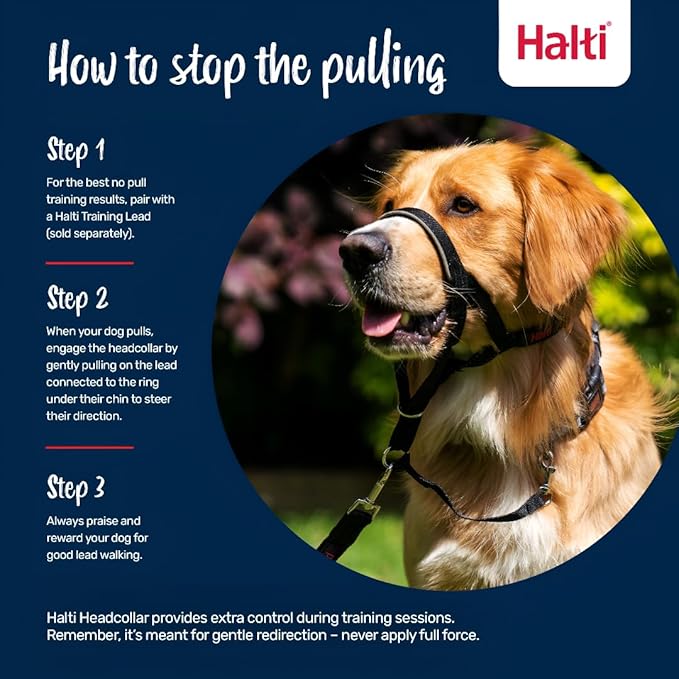 HALTI Headcollar - to Stop Your Dog Pulling on The Leash. Adjustable, Reflective and Lightweight, with Padded Nose Band. Dog Training Anti-Pull Collar for Medium Dogs (Size 2, Forest Green)