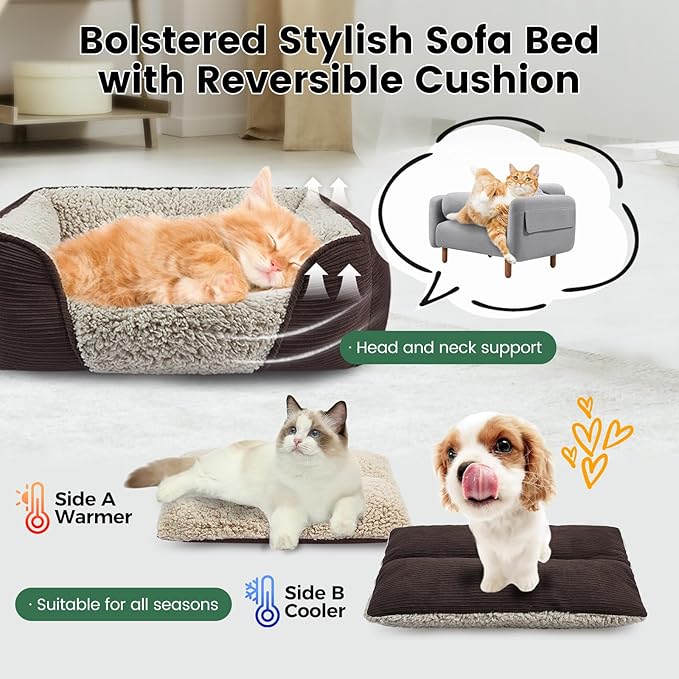 Miguel Washable Cat Beds for Indoor Cats, Easy to Wash Small Pet Sofa with Removable Cushion, Rectangle Bolster Kitten Bed with Anti-Slip Bottom, Brown 18 Inch