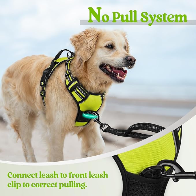 rabbitgoo Dog Harness No Pull with 2 Leash Clips, Adjustable Soft Padded, Reflective Oxford No Choke Pet Vest with Easy Control Handle for Small Dogs, Wild Lime,S