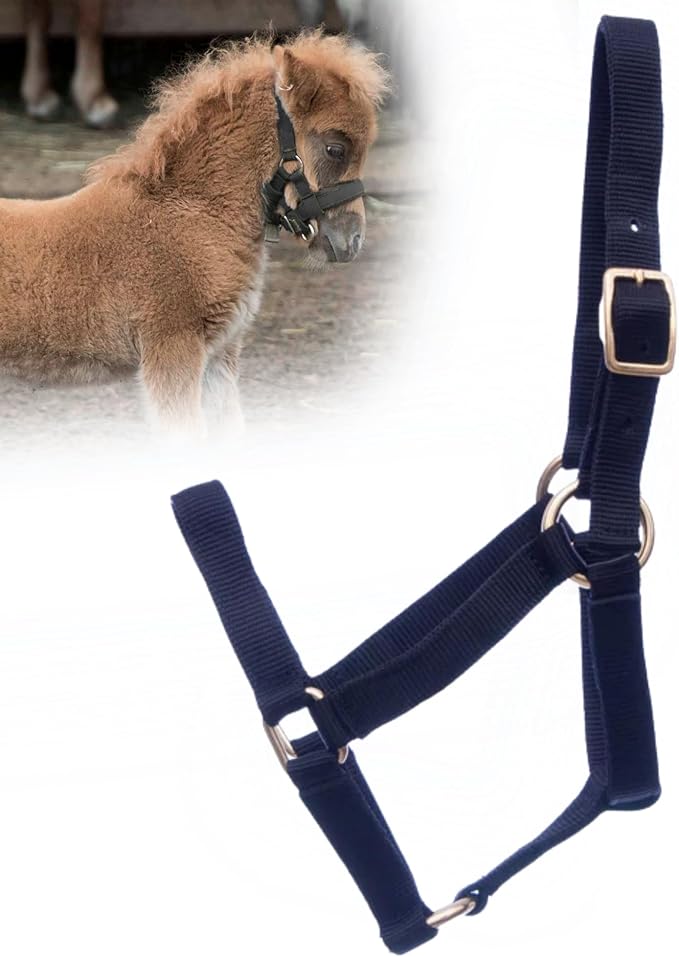 Jeffers Equine Mini Horse Halter – 3/4" Nylon Adjustable Halter for Miniature Horses, Ponies, Under 200 lbs – Heavy Duty Hardware, Secure Fit for Training, Turnout, Grooming, Travel – Black