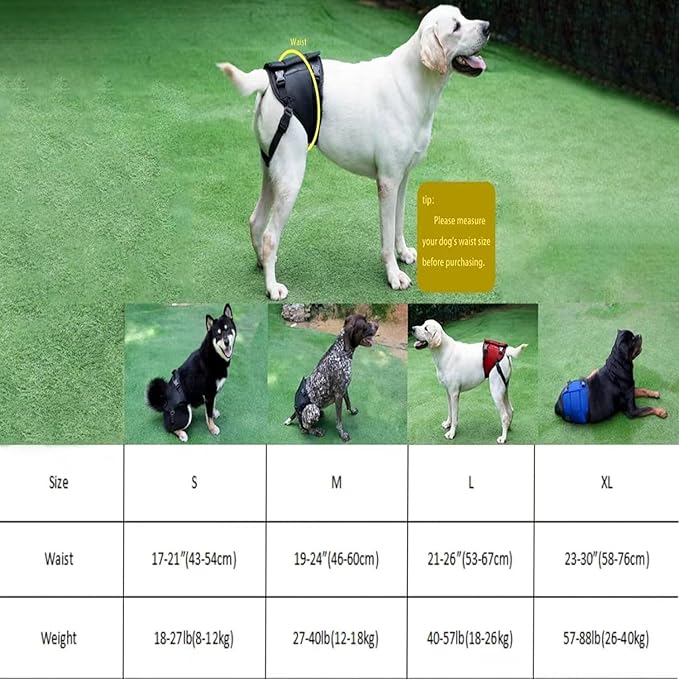 Dog Lift Harness for Dogs with Disabled Arthritis and Weak Back Legs, humanized Design with Comfortable Materials, Adjustable Back Legs and Straps, Suitable for Helping Dogs to Recover and Walk. (S)