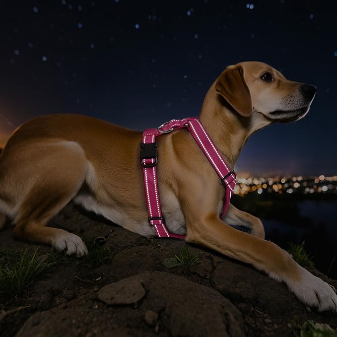 Dog Seat Belt Harness for Car, Dog Car Harness Adjustable Mesh Breathable & Dog Seatbelt Safety Tether with Elastic Bungee for Small Medium Large Pets(Rose, M)