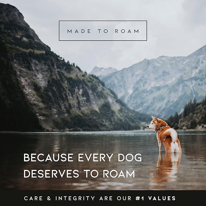MADE TO ROAM Premium Explorer Harness - Y-Shaped Dog Harness with Adjustable Durable Nylon, Soft Padding, Metal Buckles and Leather Handle for Small, Medium, Large Dogs (New York Afterlight, Size 4)
