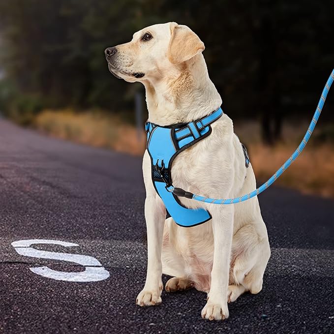 IVY&LANE No Pull Dog Harness for Medium Dogs, Dog Vest Harness with Leash, Safety Belt and Storage Strap, Fully Adjustable, 360 Reflective Strip, Soft Handle (Blue, M)