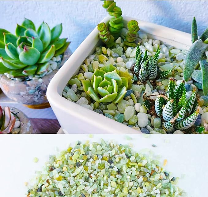 7lb Jade Bean Pebbles,1/4 Inch Cactus Bonsai DIY Rocks, Natural Succulent Rock and River Rocks Decorative for Aquariums, Vases, Terrarium, Outdoor Gardening, Top Dressing for Potted Plants
