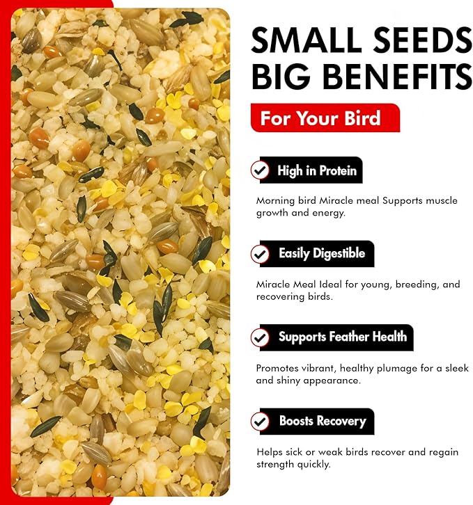 Morning Bird Miracle Meal 6 lbs. (4 Pack 1.5 Each) – Soft Food for Birds with Vitamins & Supplements – Packed with Protein, Minerals & Amino Energy – Promotes Strong Feathers & Overall Wellness